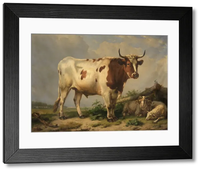 Framed Print : Bull, 1847. Creator: Eugene Verboeckhoven Framed Print : Bull, 1847. Creator: Eugene Verboeckhoven