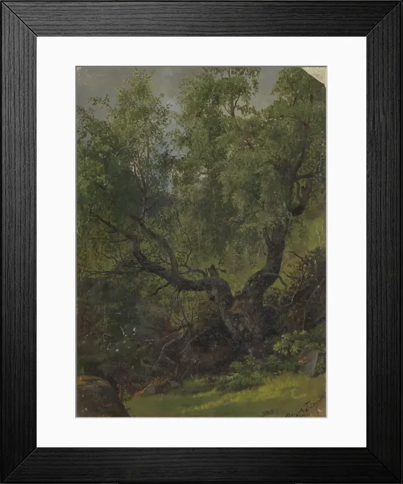 Framed Print : Forest Study from Numedal, 1848. Creator: Adolph Tidemand Framed Print : Forest Study from Numedal, 1848. Creator: Adolph Tidemand
