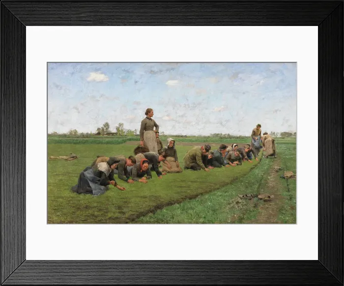 Framed Print : Flaxweeding in Flanders, 1887. Creator: Emile Claus Framed Print : Flaxweeding in Flanders, 1887. Creator: Emile Claus