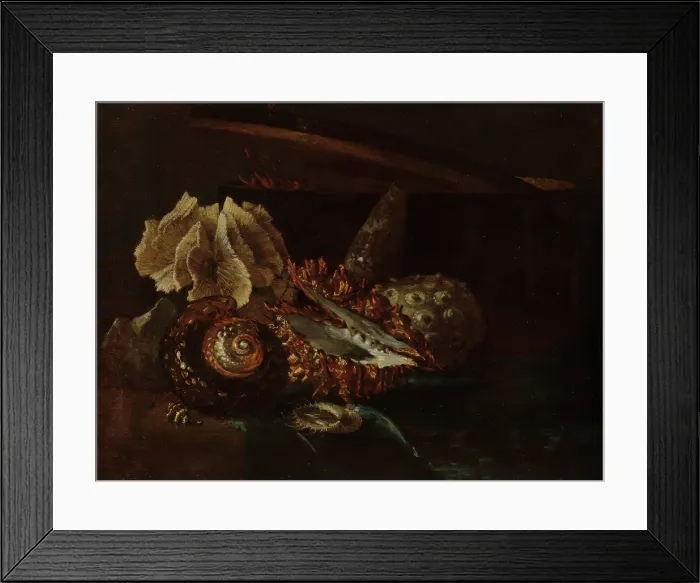 Framed Print : Still Life with Shells and Coral, c1640-1690. Creator: Willem Kalf Framed Print : Still Life with Shells and Coral, c1640-1690. Creator: Willem Kalf