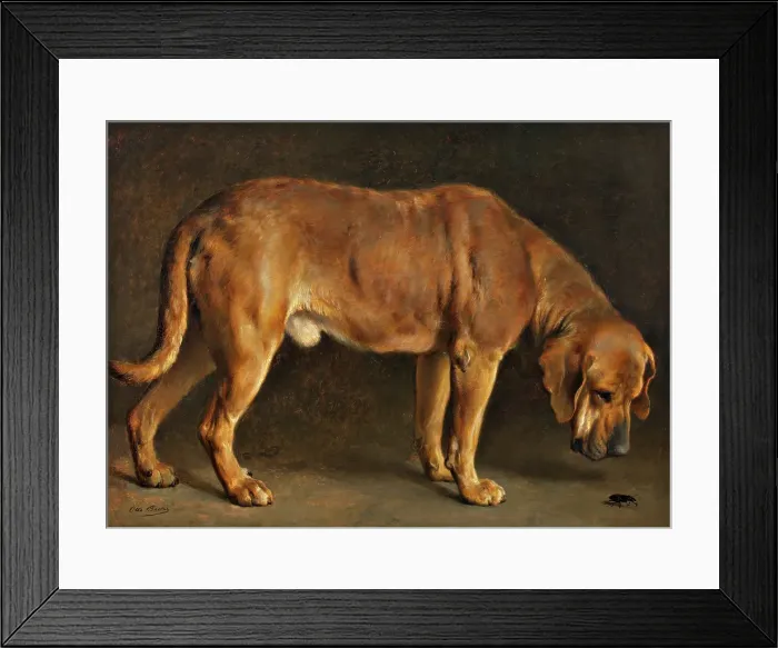 Framed Print : A Broholmer dog looking at a stag beetle, 1871. Creator: Otto Bache Framed Print : A Broholmer dog looking at a stag beetle, 1871. Creator: Otto Bache