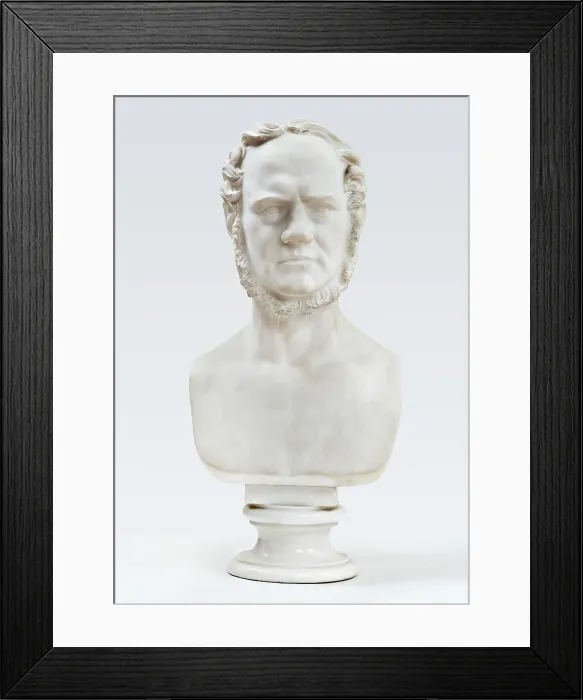 Framed Print : Marble bust of Carl Ploug (1813-94), December 21, 1857. Creator: Herman Wilhelm Bissen Framed Print : Marble bust of Carl Ploug (1813-94), December 21, 1857. Creator: Herman Wilhelm Bissen