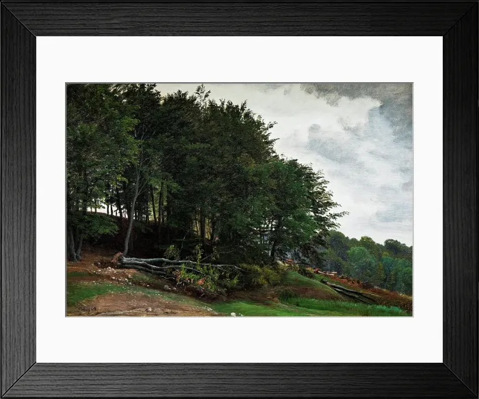Framed Print : Forested hills, 1864. Creator: Peter Christian Thamsen Skovgaard