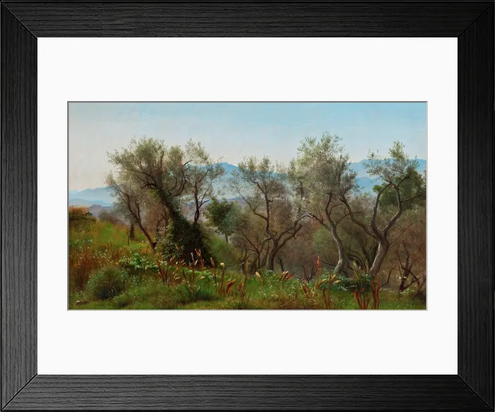 Framed Print : Olive Trees near Olevano, 1869. Creator: Peter Christian Thamsen Skovgaard Framed Print : Olive Trees near Olevano, 1869. Creator: Peter Christian Thamsen Skovgaard