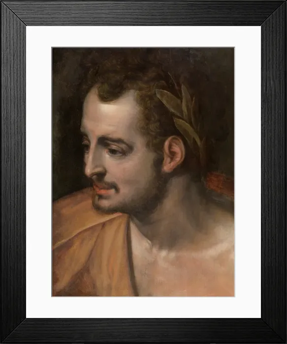 Framed Print : A Roman Emperor. Creator: Frans Floris Framed Print : A Roman Emperor. Creator: Frans Floris