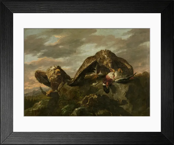 Framed Print : Eagles, c1630-1660. Creator: Jan Fyt Framed Print : Eagles, c1630-1660. Creator: Jan Fyt