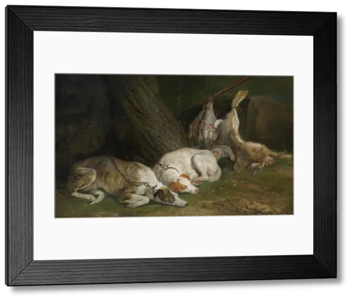 Framed Print : Two Greyhounds, c1630-1660. Creator: Jan Fyt Framed Print : Two Greyhounds, c1630-1660. Creator: Jan Fyt