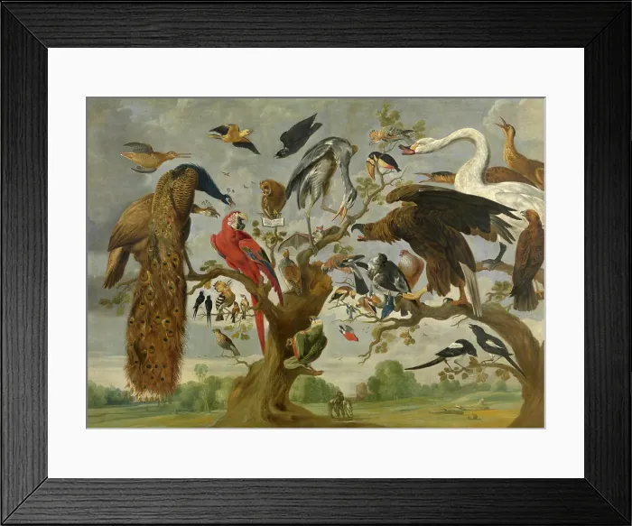 Framed Print : Concert of Birds, c1620-1670. Creator: Paul de Vos Framed Print : Concert of Birds, c1620-1670. Creator: Paul de Vos