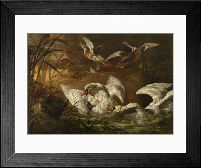 Framed Print : Swans and Dogs, c1640-1670. Creator: Nicasius Bernaerts Framed Print : Swans and Dogs, c1640-1670. Creator: Nicasius Bernaerts