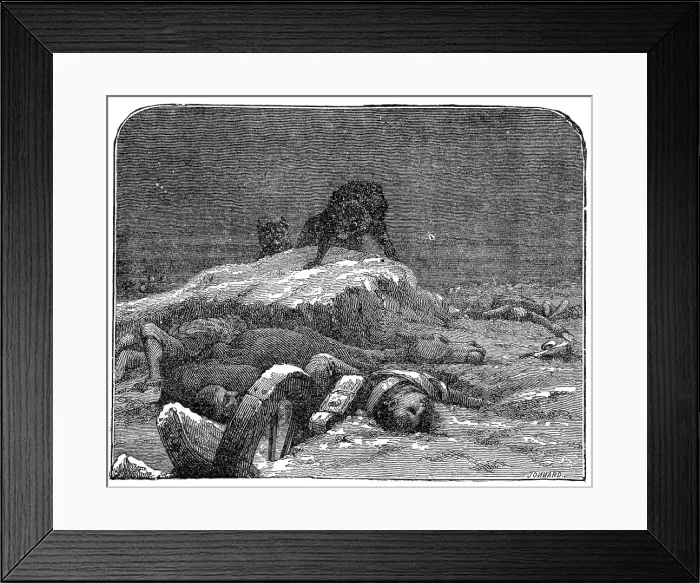 Framed Print : Wolves on the Battle-Field, from Mrs. Howitt's Songs of Animal Life, 1872. Creator: Jonnard Framed Print : Wolves on the Battle-Field, from Mrs. Howitt's Songs of Animal Life, 1872. Creator: Jonnard