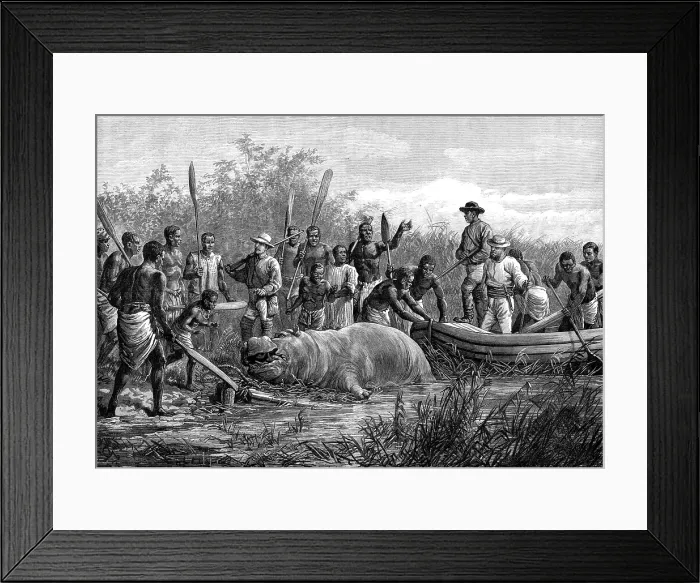 Framed Print : Hippopotamus hunting in Angola, West Africa, 1880. Creator: Unknown Framed Print : Hippopotamus hunting in Angola, West Africa, 1880. Creator: Unknown