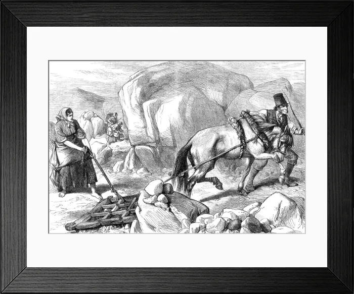 Framed Print : Sketches in Ireland: harrowing under difficulties, mountain farm in County Mayo, 1880. Creator: Unknown Framed Print : Sketches in Ireland: harrowing under difficulties, mountain farm in County Mayo, 1880. Creator: Unknown