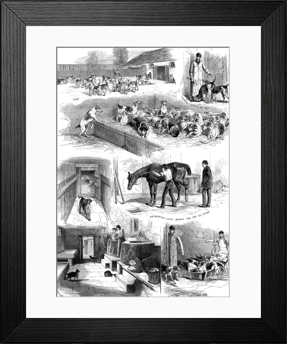Framed Print : The Royal Buckhounds: sketches of the kennels at Ascot, 1880. Creator: Unknown Framed Print : The Royal Buckhounds: sketches of the kennels at Ascot, 1880. Creator: Unknown