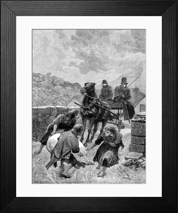Framed Print : An Irish obstructionist: a sketch on the road, Connemara, 1880. Creator: Unknown Framed Print : An Irish obstructionist: a sketch on the road, Connemara, 1880. Creator: Unknown