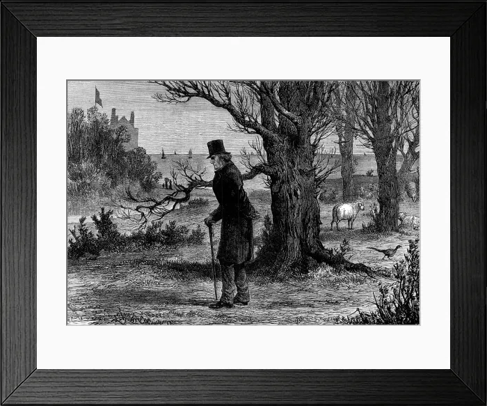 Framed Print : The General Election: the calm before the storm - a sketch at Dalmeny on Saturday, 1880. Creator: Unknown Framed Print : The General Election: the calm before the storm - a sketch at Dalmeny on Saturday, 1880. Creator: Unknown