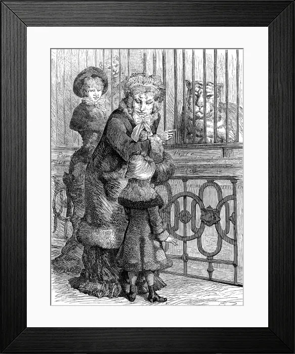 Framed Print : Odd sketches at the Zoological Society's Gardens: the cat family, 1880. Creator: Unknown Framed Print : Odd sketches at the Zoological Society's Gardens: the cat family, 1880. Creator: Unknown