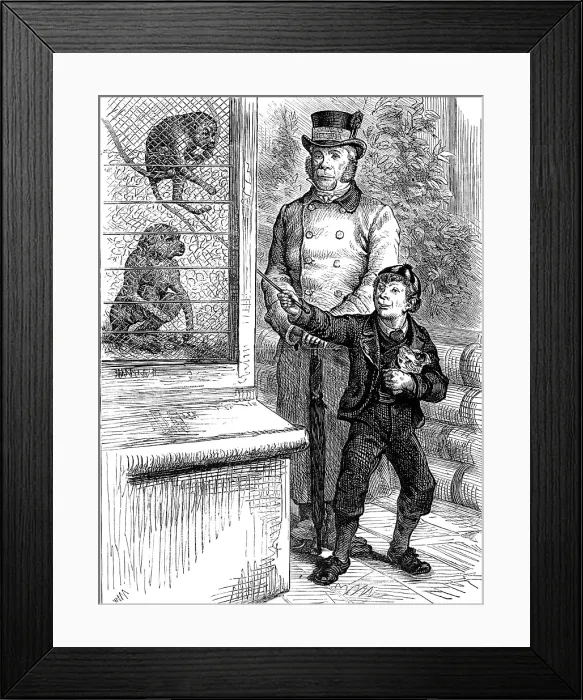 Framed Print : Odd sketches at the Zoological Society's Gardens: the monkeys, 1880. Creator: Unknown Framed Print : Odd sketches at the Zoological Society's Gardens: the monkeys, 1880. Creator: Unknown
