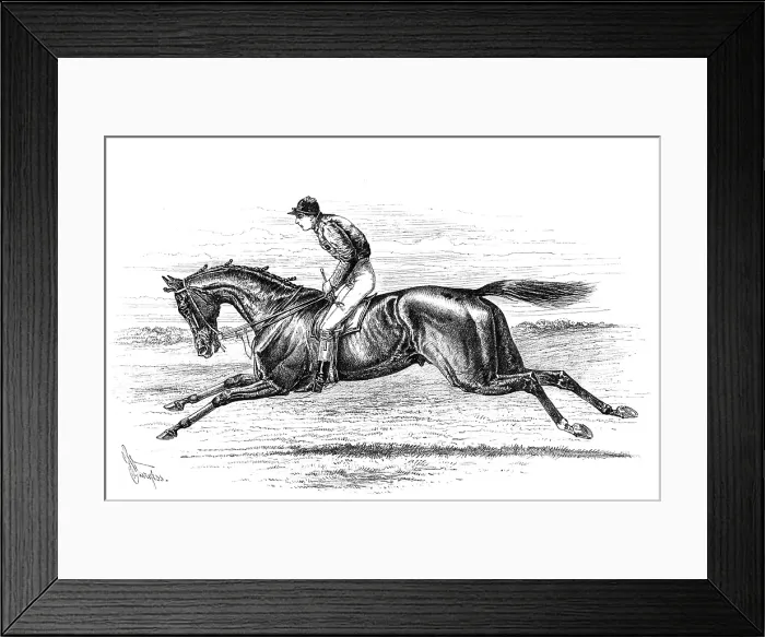 Framed Print : Bend Or, the winner of the Derby, 1880. Creator: Unknown Framed Print : Bend Or, the winner of the Derby, 1880. Creator: Unknown