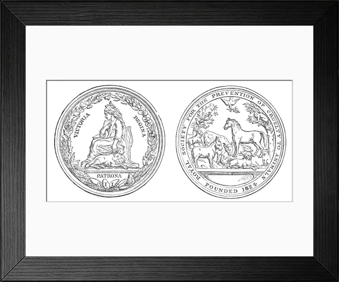 Framed Print : Medal of the Society for the Prevention of Cruelty to Animals, 1880. Creator: Unknown Framed Print : Medal of the Society for the Prevention of Cruelty to Animals, 1880. Creator: Unknown