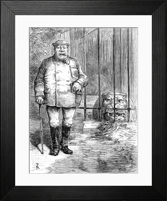 Framed Print : Odd sketches at the Zoological Society's Gardens: pachydermatous or thick-skinned animals, 1880. Creator: Unknown Framed Print : Odd sketches at the Zoological Society's Gardens: pachydermatous or thick-skinned animals, 1880. Creator: Unknown