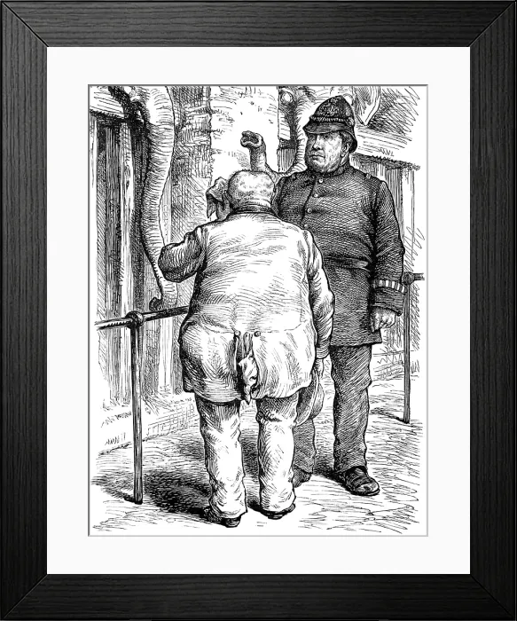 Framed Print : Odd sketches at the Zoological Society's Gardens: pachydermatous or thick-skinned animals, 1880. Creator: Unknown Framed Print : Odd sketches at the Zoological Society's Gardens: pachydermatous or thick-skinned animals, 1880. Creator: Unknown