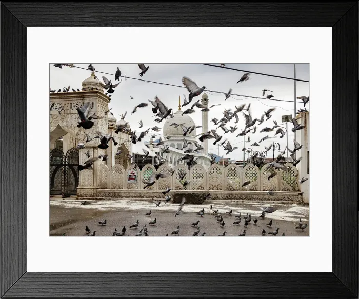 Framed Print : Hazratbal Shrine, Srinagar, Kashmir, India, 2023. Creator: Peter Thompson Framed Print : Hazratbal Shrine, Srinagar, Kashmir, India, 2023. Creator: Peter Thompson