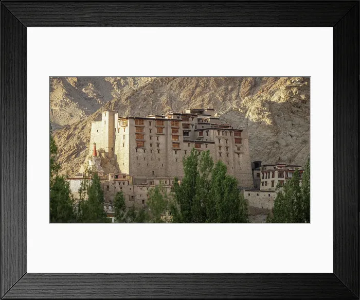Framed Print : Leh Palace, Ladakh, India, 2023. Creator: Peter Thompson Framed Print : Leh Palace, Ladakh, India, 2023. Creator: Peter Thompson