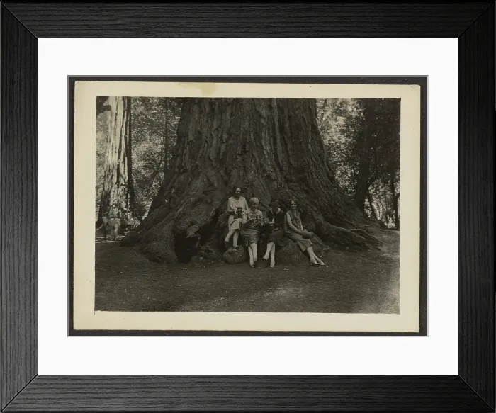 Framed Print : Group Portrait at Base of Tree, 1907-1943. Creator: Louis Fleckenstein Framed Print : Group Portrait at Base of Tree, 1907-1943. Creator: Louis Fleckenstein