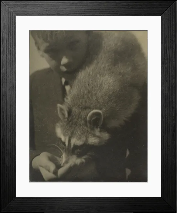Framed Print : Portrait of a Boy Feeding a Raccoon, 1907-1943. Creator: Louis Fleckenstein Framed Print : Portrait of a Boy Feeding a Raccoon, 1907-1943. Creator: Louis Fleckenstein