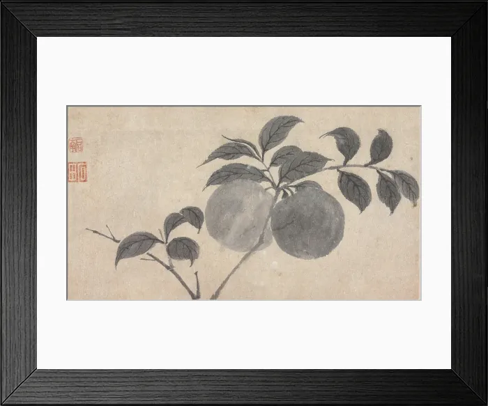 Framed Print : Branch of Fruit Bearing Tree, unknown date, c1450-1509. Creator: Shen Zhou Framed Print : Branch of Fruit Bearing Tree, unknown date, c1450-1509. Creator: Shen Zhou