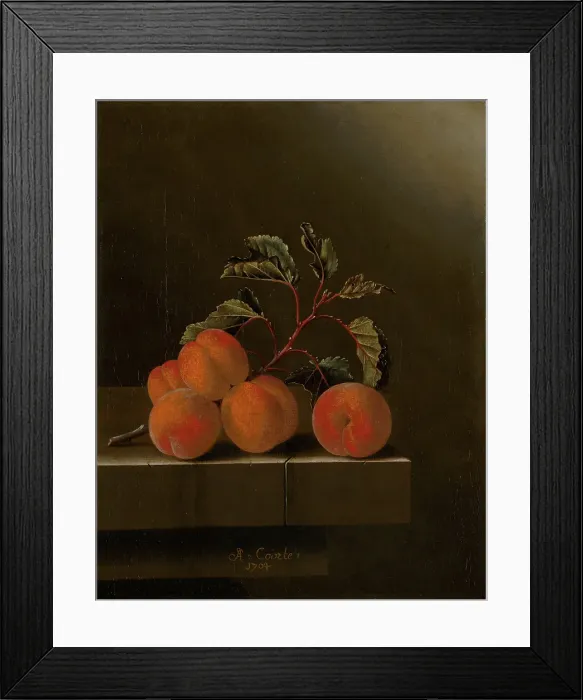 Framed Print : Still Life with Five Apricots, c1680-1700. Creator: Adriaen Coorte Framed Print : Still Life with Five Apricots, c1680-1700. Creator: Adriaen Coorte