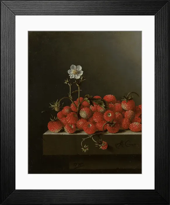 Framed Print : Still Life with Wild Strawberries, c1680-1700. Creator: Adriaen Coorte Framed Print : Still Life with Wild Strawberries, c1680-1700. Creator: Adriaen Coorte