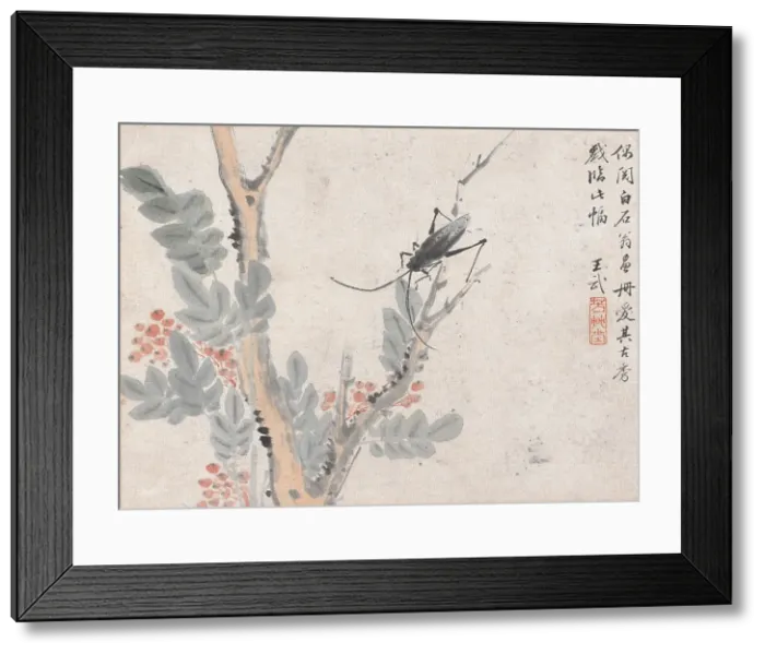 Framed Print : Insect and Tree after Shen Zhou, date unknown, c1652-1690. Creator: Wang Wu Framed Print : Insect and Tree after Shen Zhou, date unknown, c1652-1690. Creator: Wang Wu