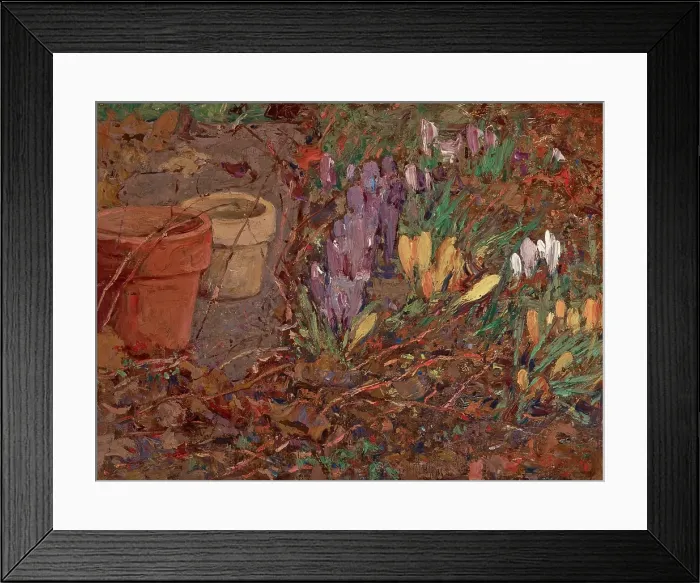Framed Print : Crocuses, date unknown, c1875-1935. Creator: William Forsyth