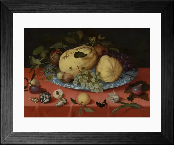 Framed Print : Fruit Still Life with Shells and Tulip, 1620. Creator: Balthasar van der Ast Framed Print : Fruit Still Life with Shells and Tulip, 1620. Creator: Balthasar van der Ast