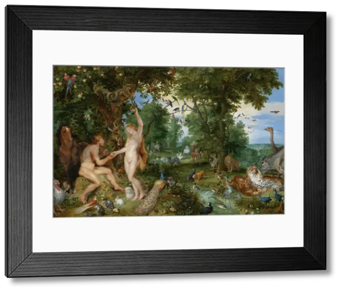 Framed Print : The Garden of Eden with the Fall of Man. Creators: Jan Brueghel the Elder, Peter Paul Rubens Framed Print : The Garden of Eden with the Fall of Man. Creators: Jan Brueghel the Elder, Peter Paul Rubens