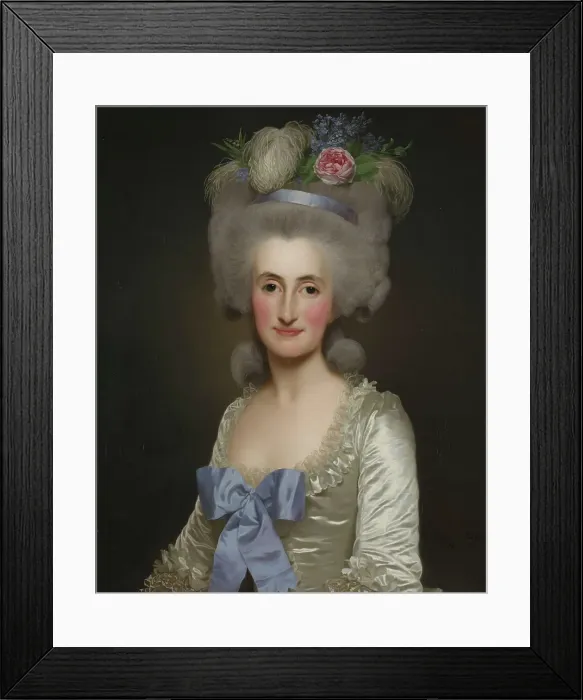 Framed Print : Anne Jacqueline Sophie de Malartie, 1781. Creator: Alexander Roslin Framed Print : Anne Jacqueline Sophie de Malartie, 1781. Creator: Alexander Roslin