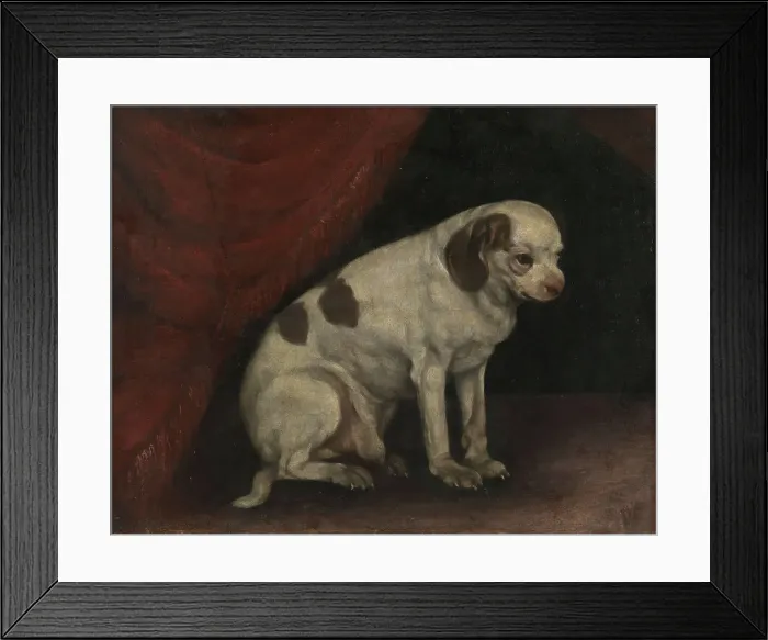 Framed Print : Seated dog, probably 19th century. Creator: Unknown Framed Print : Seated dog, probably 19th century. Creator: Unknown