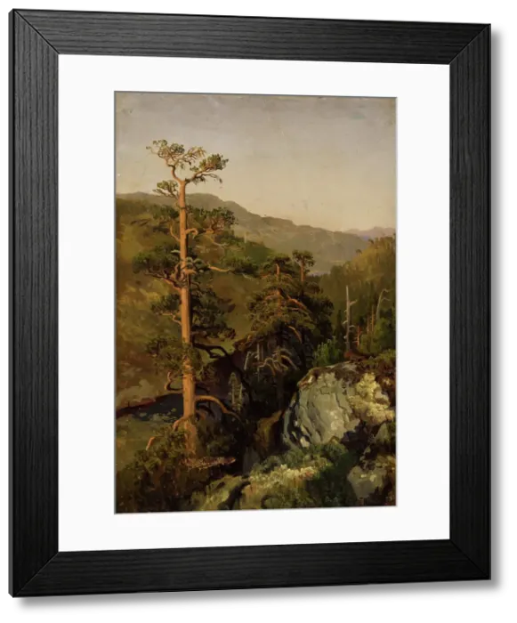 Framed Print : Rocky Landscape with Pinetreees, 1850. Creator: Herman August Cappelen Framed Print : Rocky Landscape with Pinetreees, 1850. Creator: Herman August Cappelen