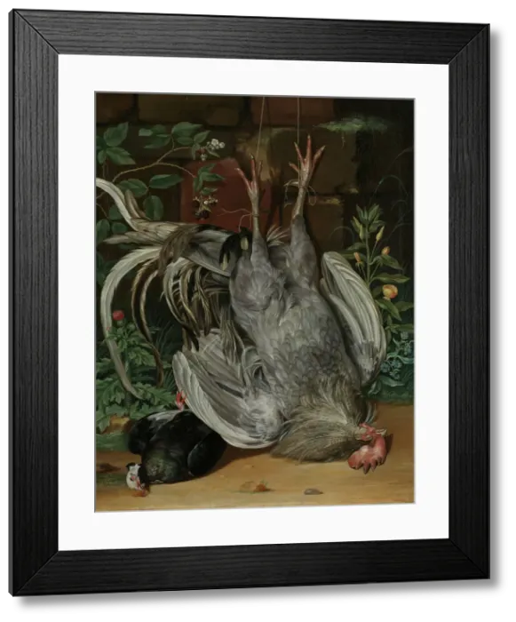 Framed Print : Dead Birds, 1735. Creator: Anton Friedrich Harms Framed Print : Dead Birds, 1735. Creator: Anton Friedrich Harms