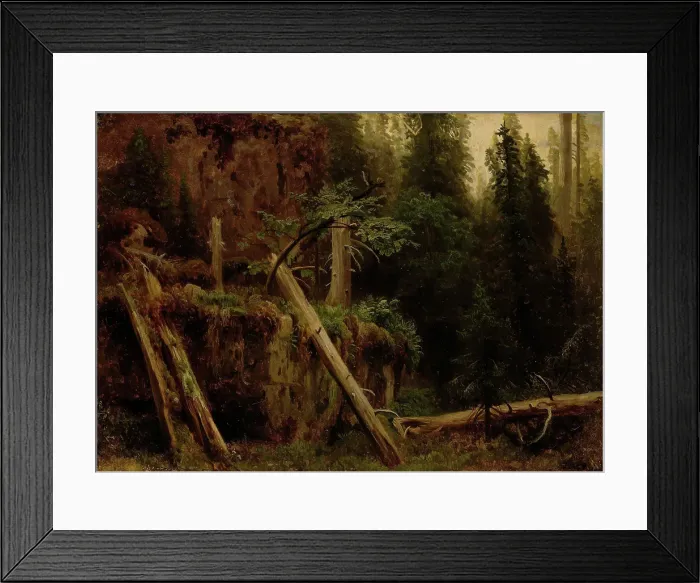 Framed Print : Landscape Study with decaying Trees, probably 1851. Creator: Herman August Cappelen Framed Print : Landscape Study with decaying Trees, probably 1851. Creator: Herman August Cappelen
