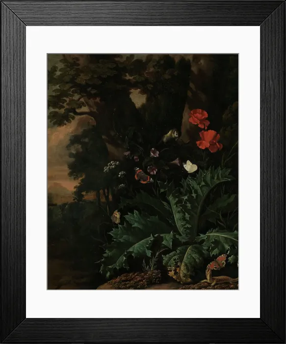 Framed Print : Butterflies and Flowers, between 1655 and 1673. Creator: Abraham Jansz Begeyn Framed Print : Butterflies and Flowers, between 1655 and 1673. Creator: Abraham Jansz Begeyn
