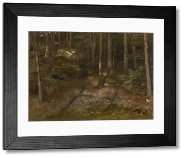 Framed Print : Forest Study, 1871. Creator: Adolph Tidemand Framed Print : Forest Study, 1871. Creator: Adolph Tidemand