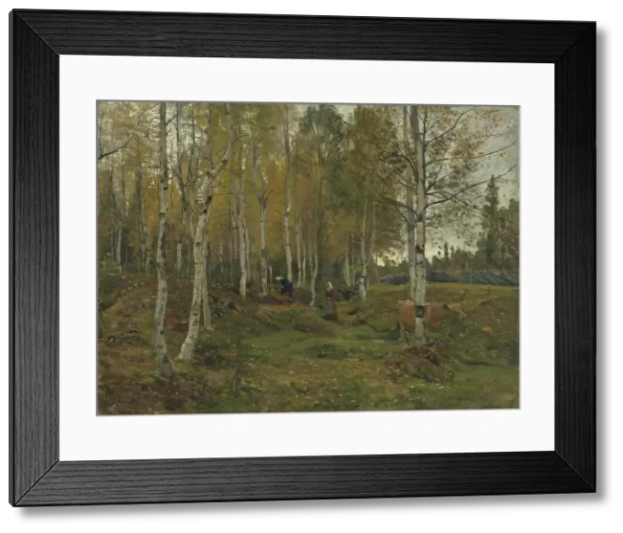 Framed Print : Birch Trees in Autumn, 1880. Creator: Gerhard Munthe Framed Print : Birch Trees in Autumn, 1880. Creator: Gerhard Munthe