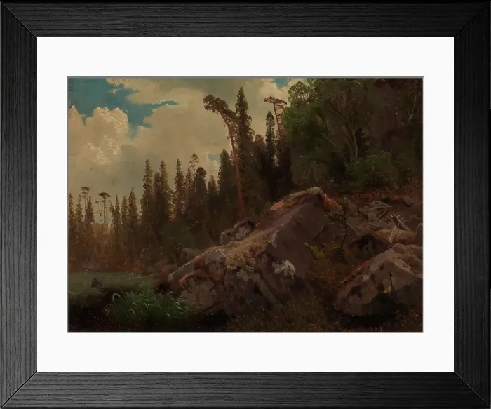 Framed Print : Landscape Study with Trees and Rocks, probably 1851. Creator: Herman August Cappelen Framed Print : Landscape Study with Trees and Rocks, probably 1851. Creator: Herman August Cappelen