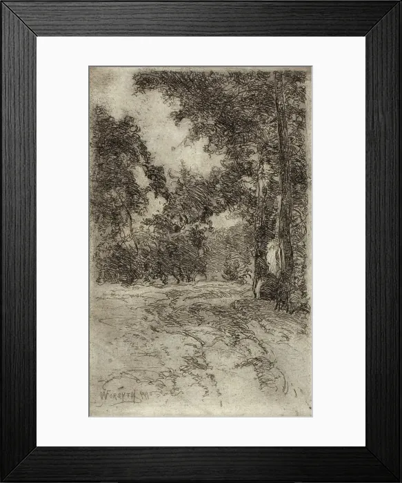 Framed Print : Williams Creek, 1911. Creator: William Forsyth Framed Print : Williams Creek, 1911. Creator: William Forsyth
