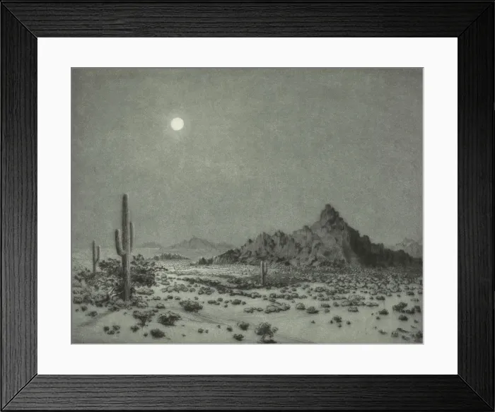 Framed Print : Arizona Night, 1930. Creator: George Elbert Burr Framed Print : Arizona Night, 1930. Creator: George Elbert Burr