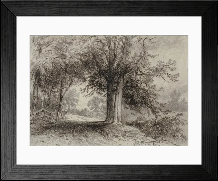 Framed Print : Landscape, 1877. Creator: James David Smillie Framed Print : Landscape, 1877. Creator: James David Smillie
