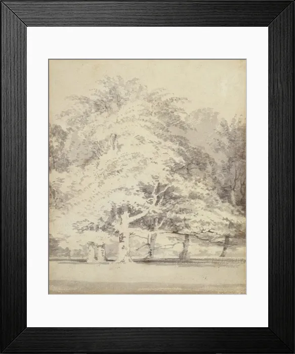 Framed Print : Beech Trees, 1795-1797. Creator: JMW Turner Framed Print : Beech Trees, 1795-1797. Creator: JMW Turner
