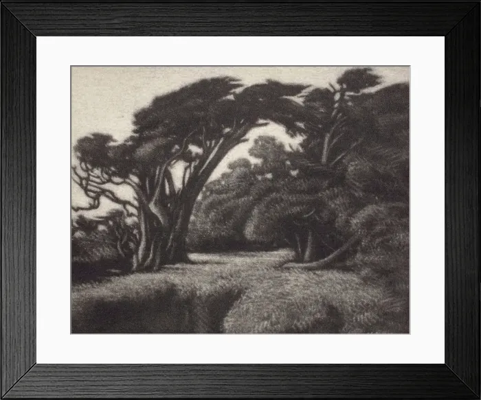 Framed Print : Cypress Bower, 1920. Creator: Ernest Haskell Framed Print : Cypress Bower, 1920. Creator: Ernest Haskell